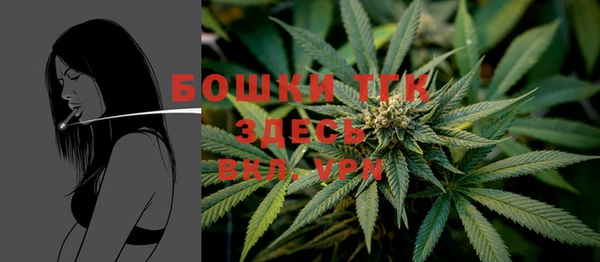 гашик Белокуриха