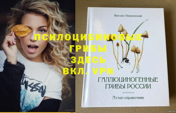 дурь Беломорск
