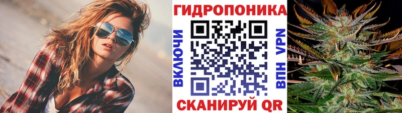 Бошки марихуана марихуана  нарко площадка телеграм  Чита 